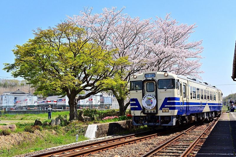 法華口駅に進入する
