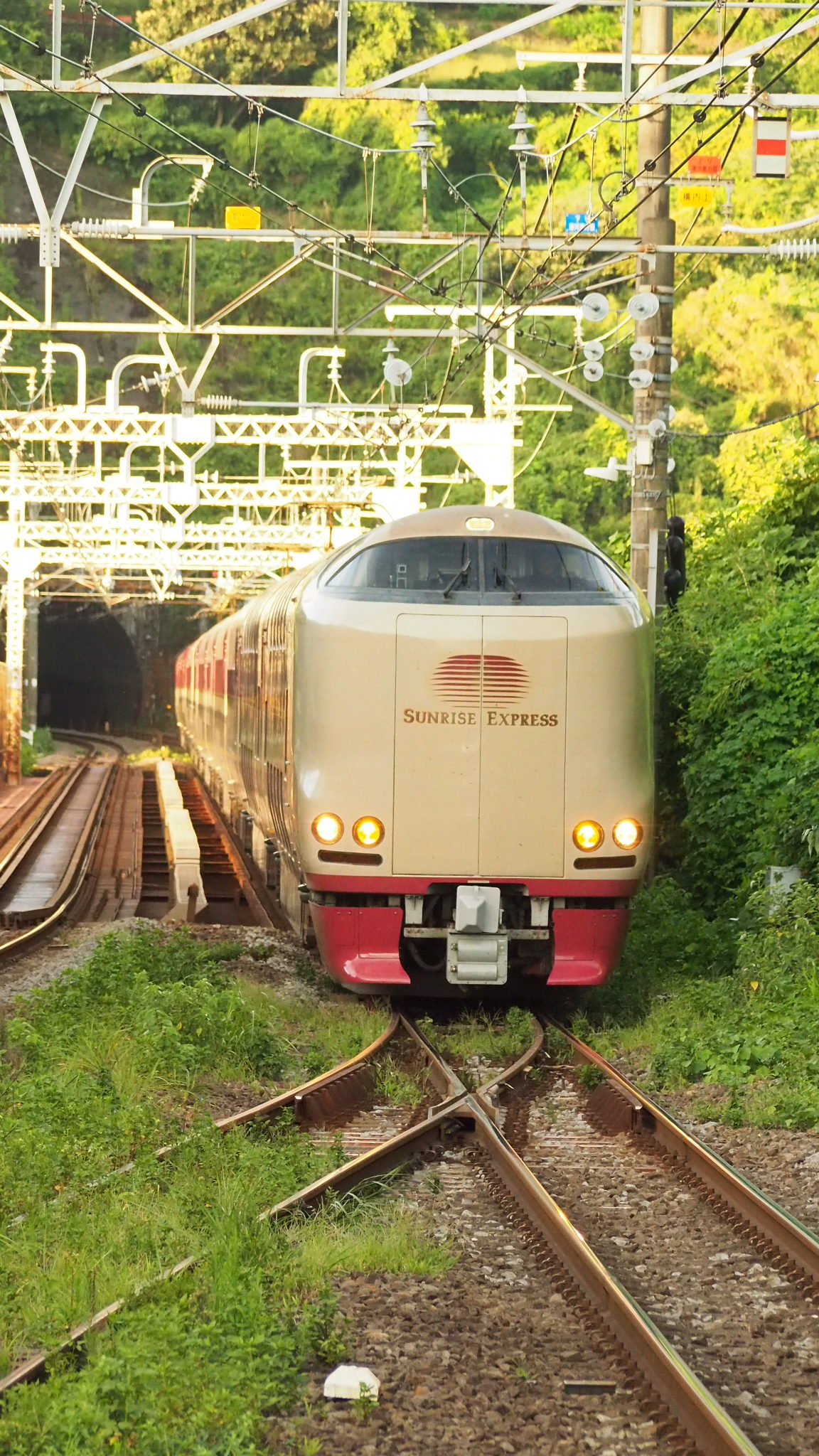 「根府川」上りホームから撮影 2023.8.31 6時頃